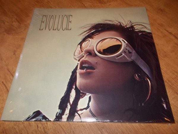 Lucie - Evolucie (2Vinyl-LP)