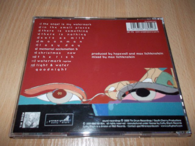 HOPEWELL -  THE CURVED GLASS (CD)