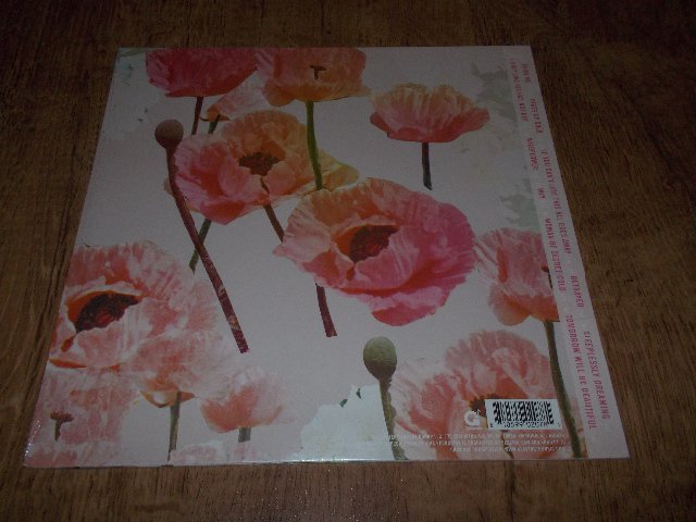 Tomorrow Will - Be Beautiful (Vinyl-LP)