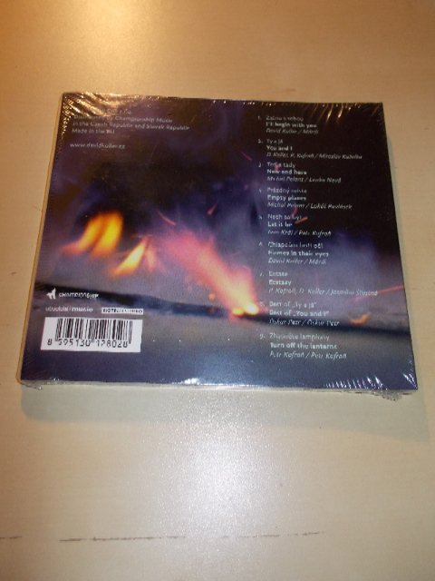 David Koller - Teď a tady (CD)