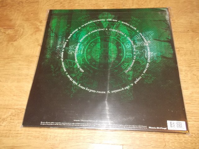 Within Temptation - Mother Earth (2Vinyl-LP) (Expanded Edition)