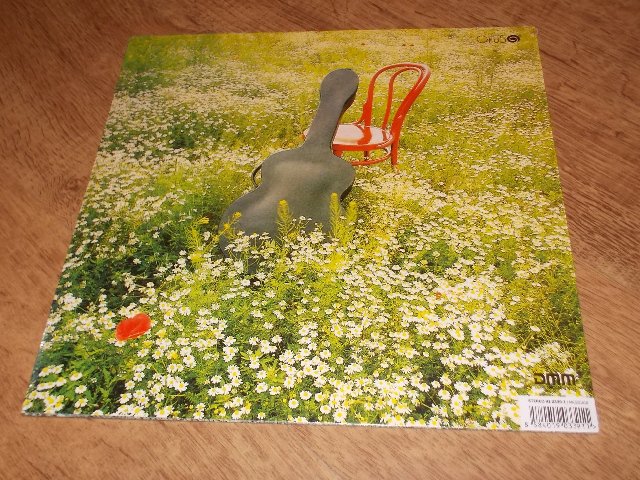 Pavol Hammel a Prúdy - Hráč (Vinyl-LP)