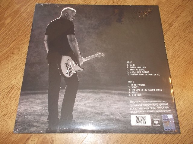 DAVID GILMOUR - RATTLE THAT LOCK (Vinyl-LP)
