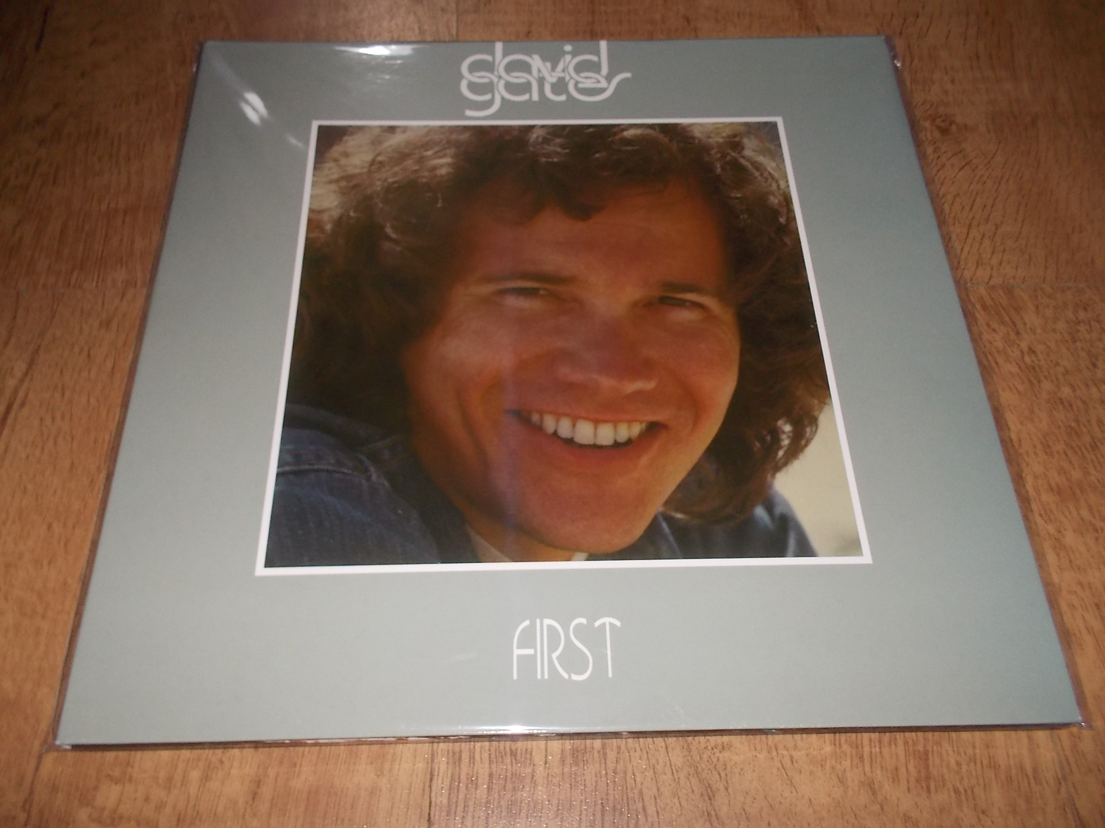 GATES DAVID - FIRST (Vinyl-LP)
