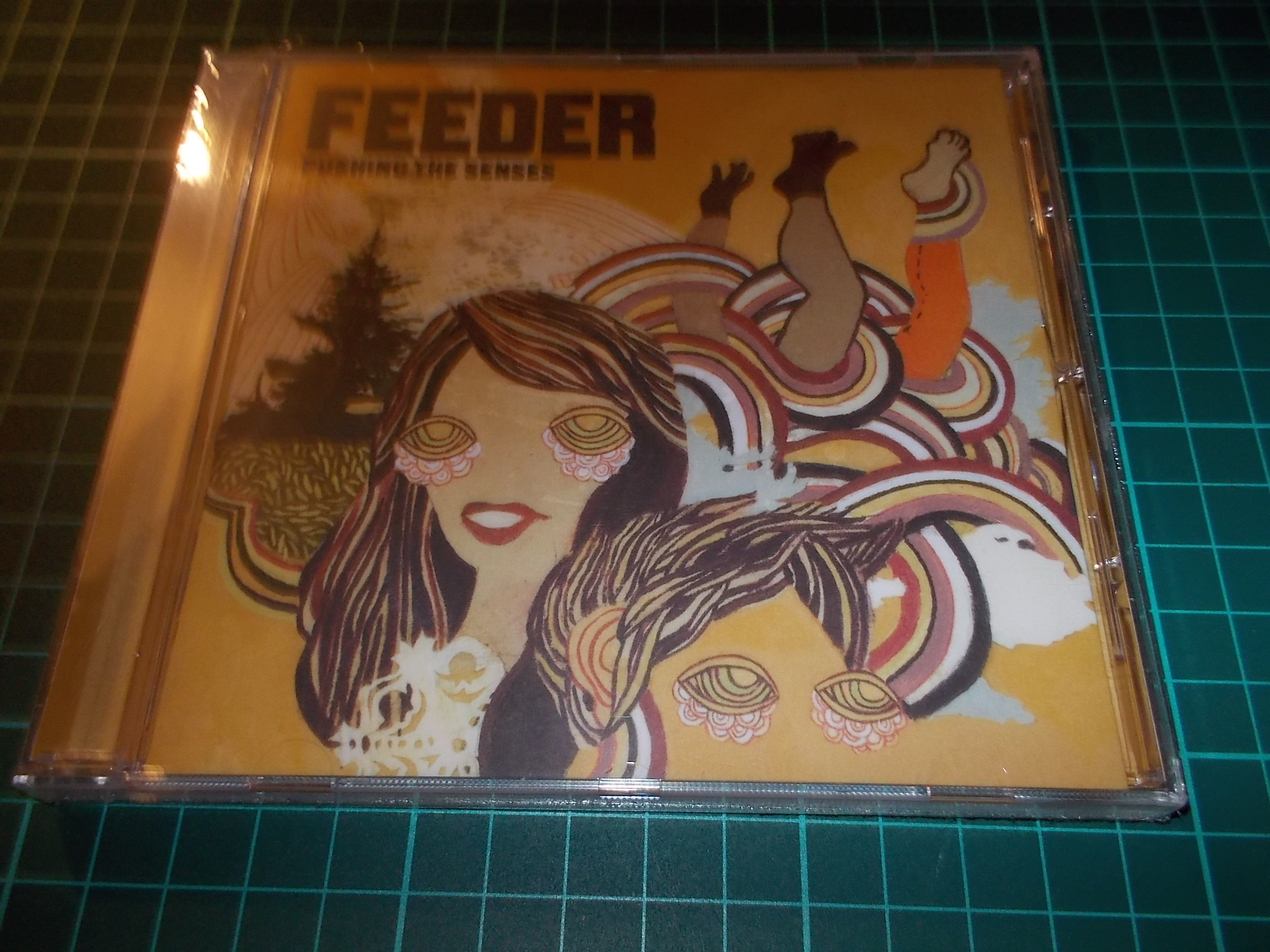 FEEDER - PUSHING SENSES (CD)