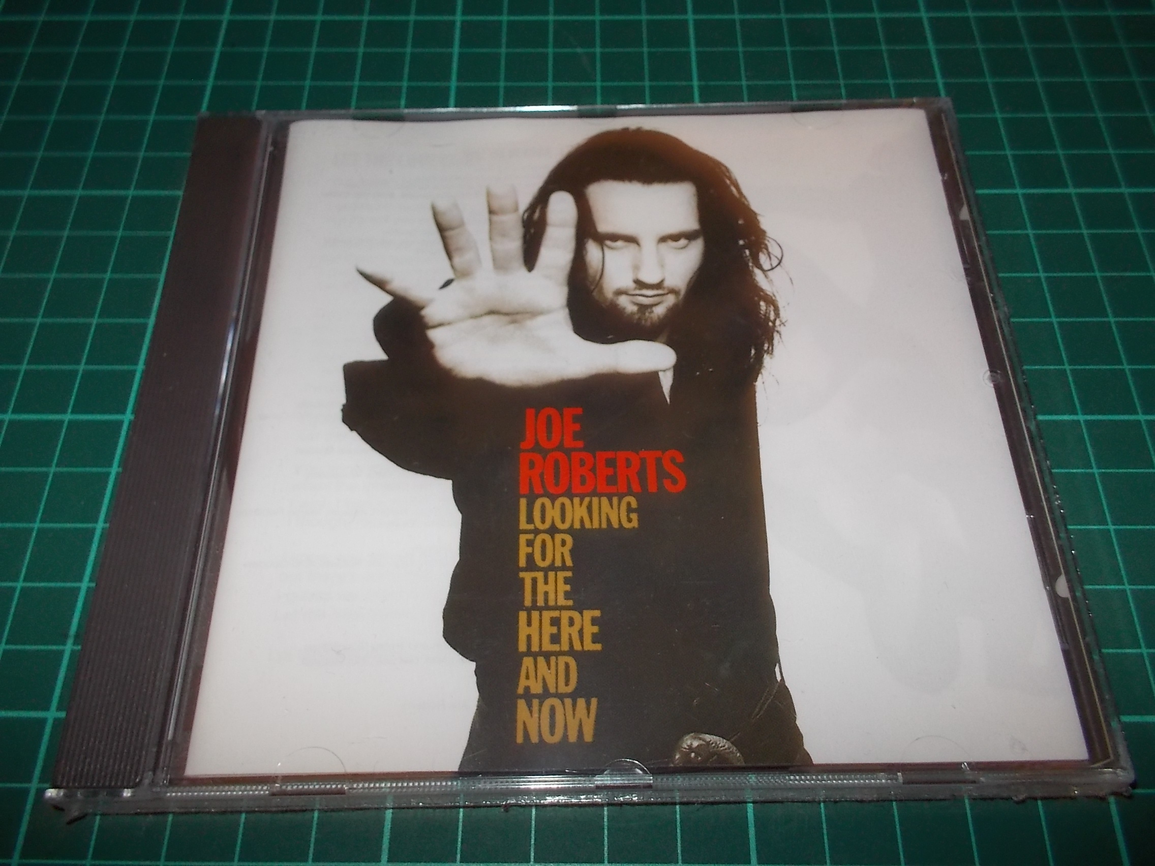 Joe Roberts - Looking For The Here And Now (CD)