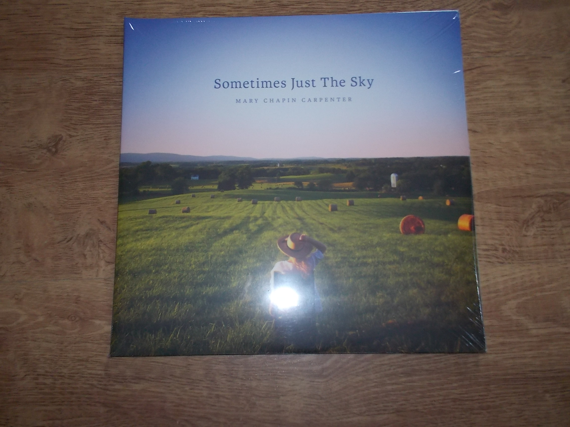 Mary Chapin Carpenter - Sometimes Just The Sky (2Vinyl-LP)