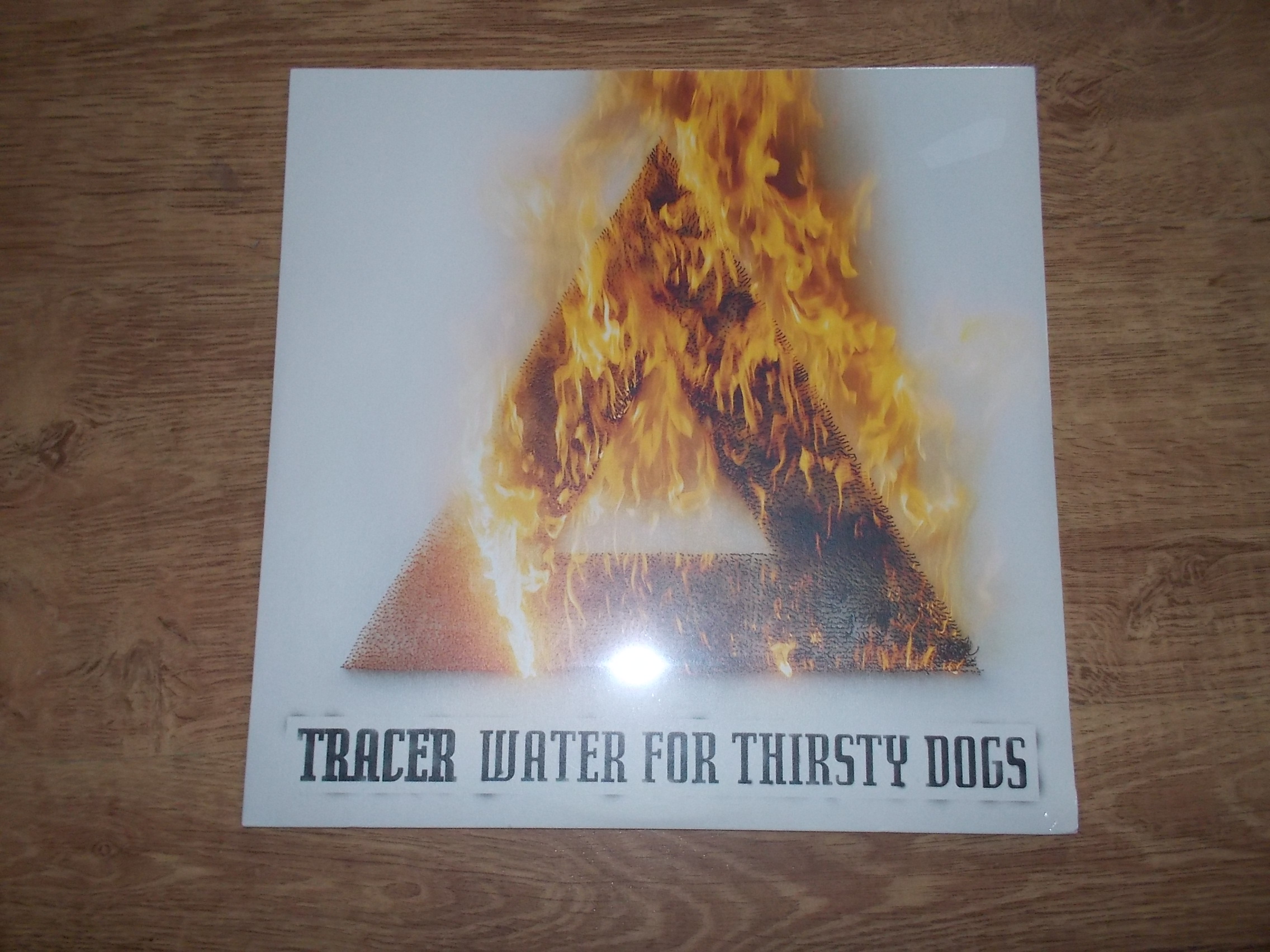 Tracer - Water For Thirsty Dogs (Vinyl-LP)