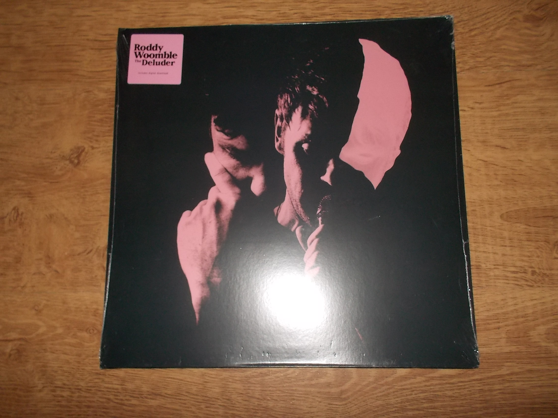 Roddy Woomble - The Deluder (Vinyl-LP)