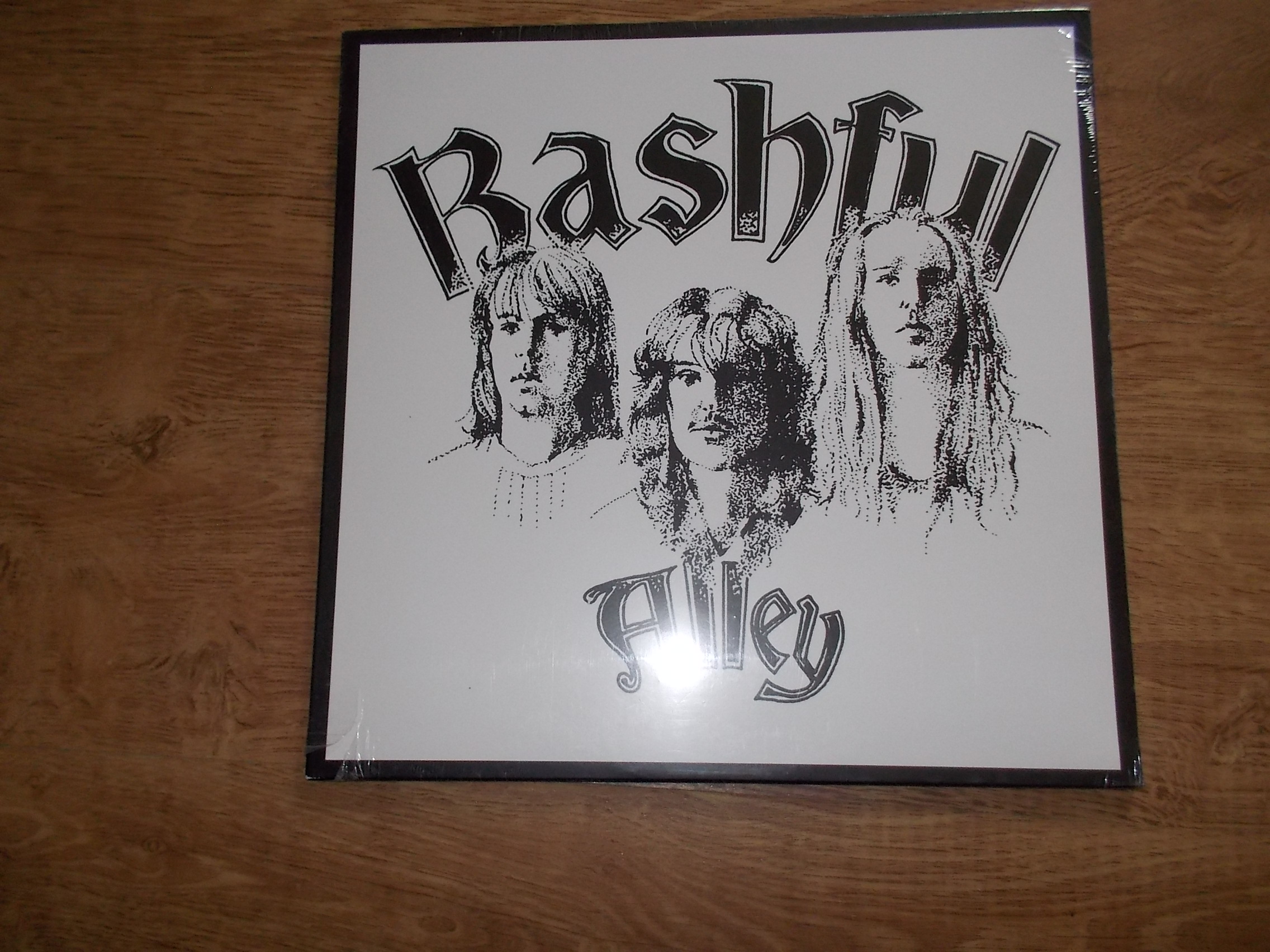 Bashful Alley - It's About Time (Vinyl-LP)