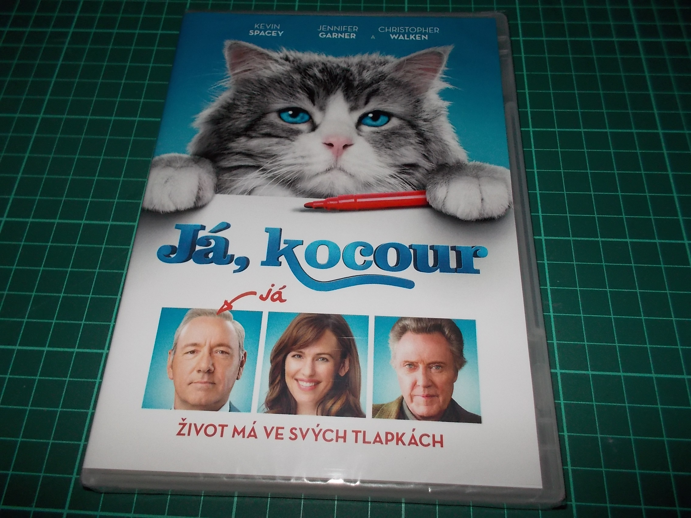 Já, kocour (DVD)