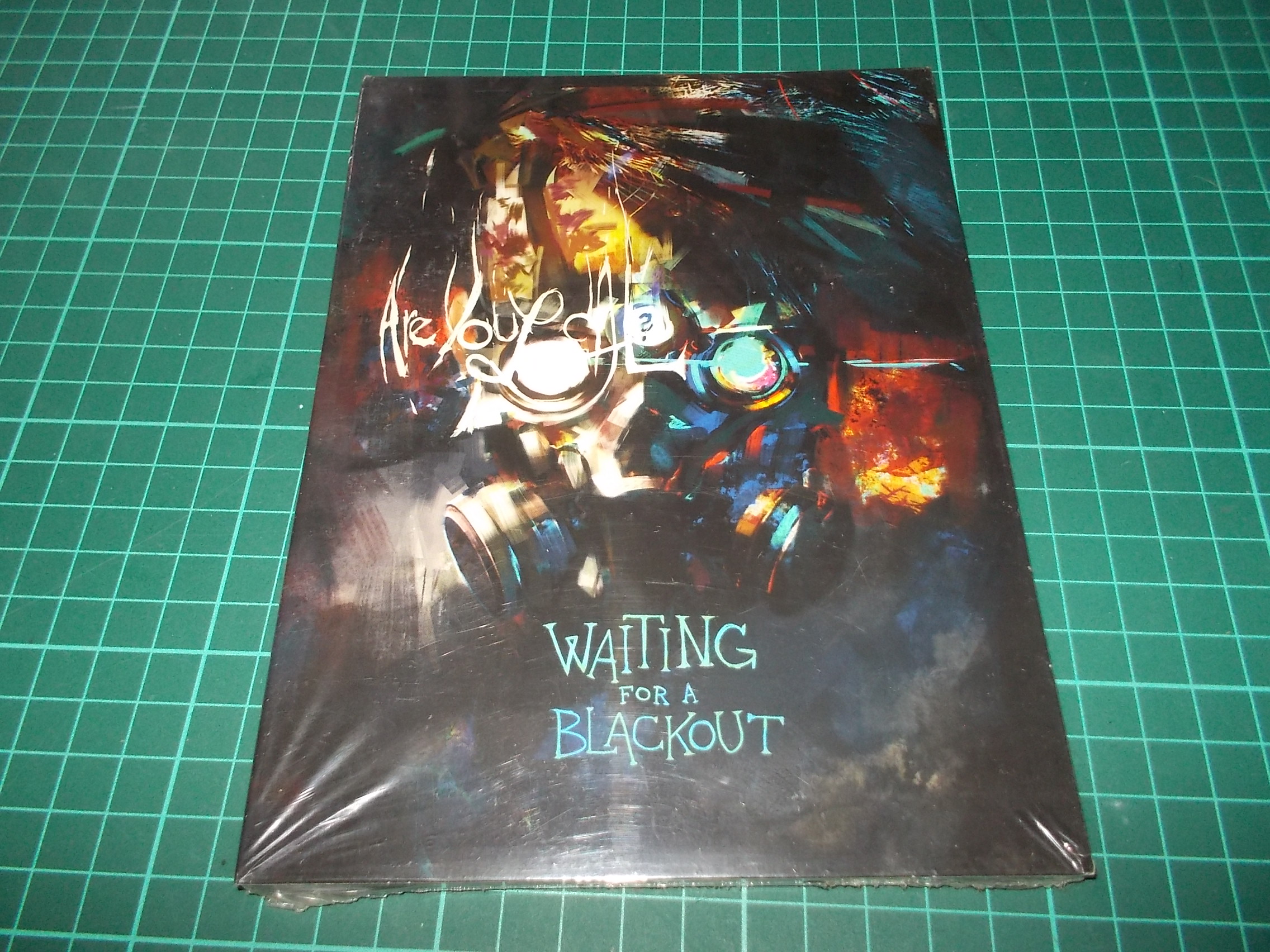 ARE YOU LOCAL? - WAITING FOR A BLACKOUT (DVD)