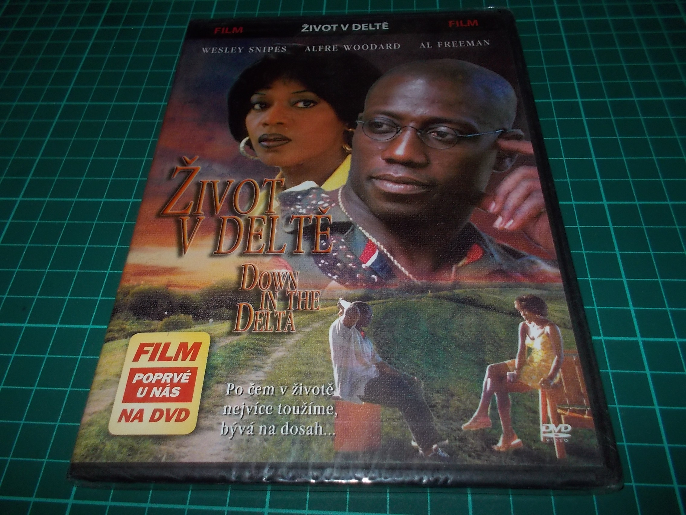 Život v deltě (DVD) Slim