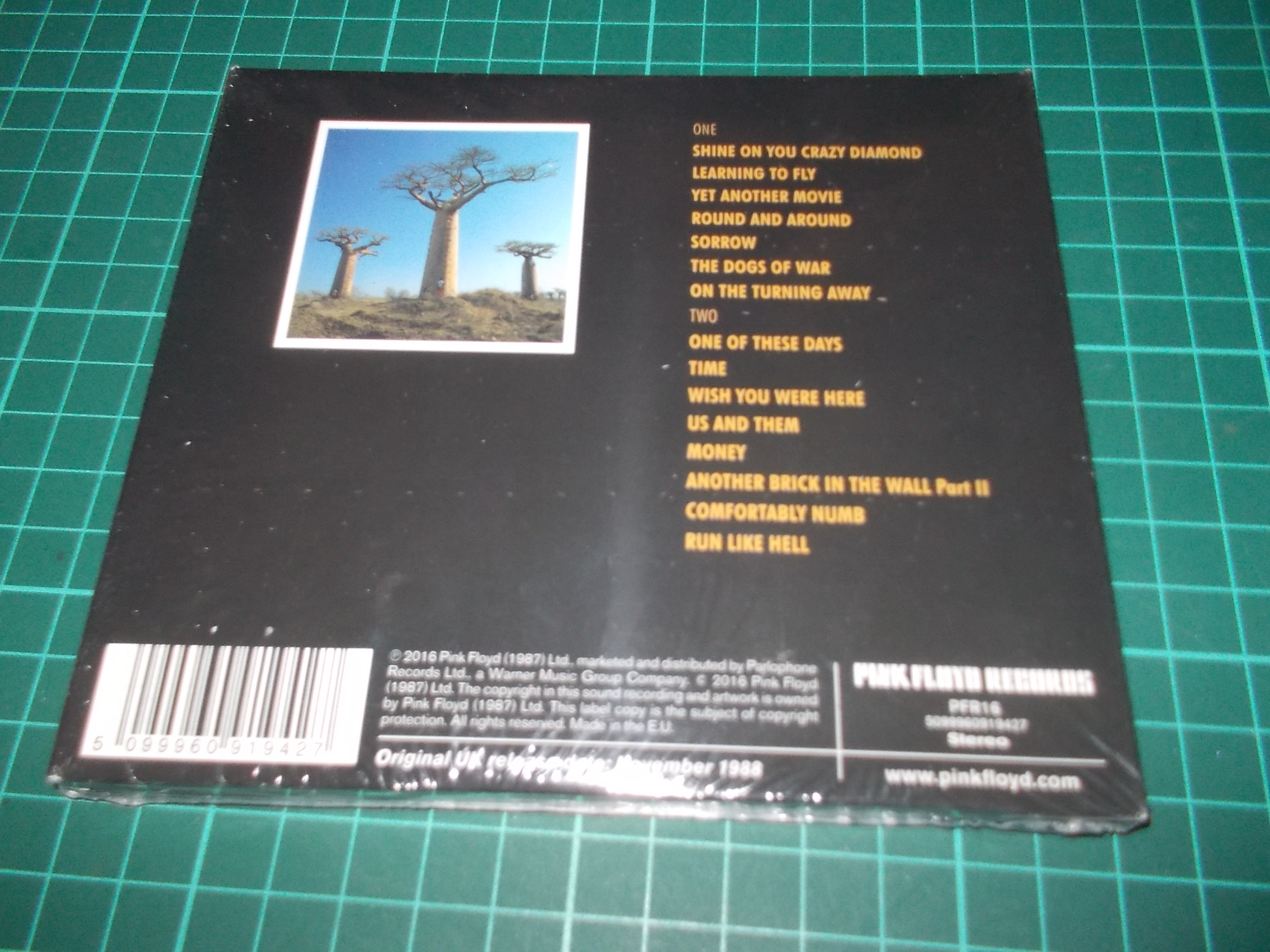 Pink Floyd - Delicate Sound Of Thunder (2CD) Digipack
