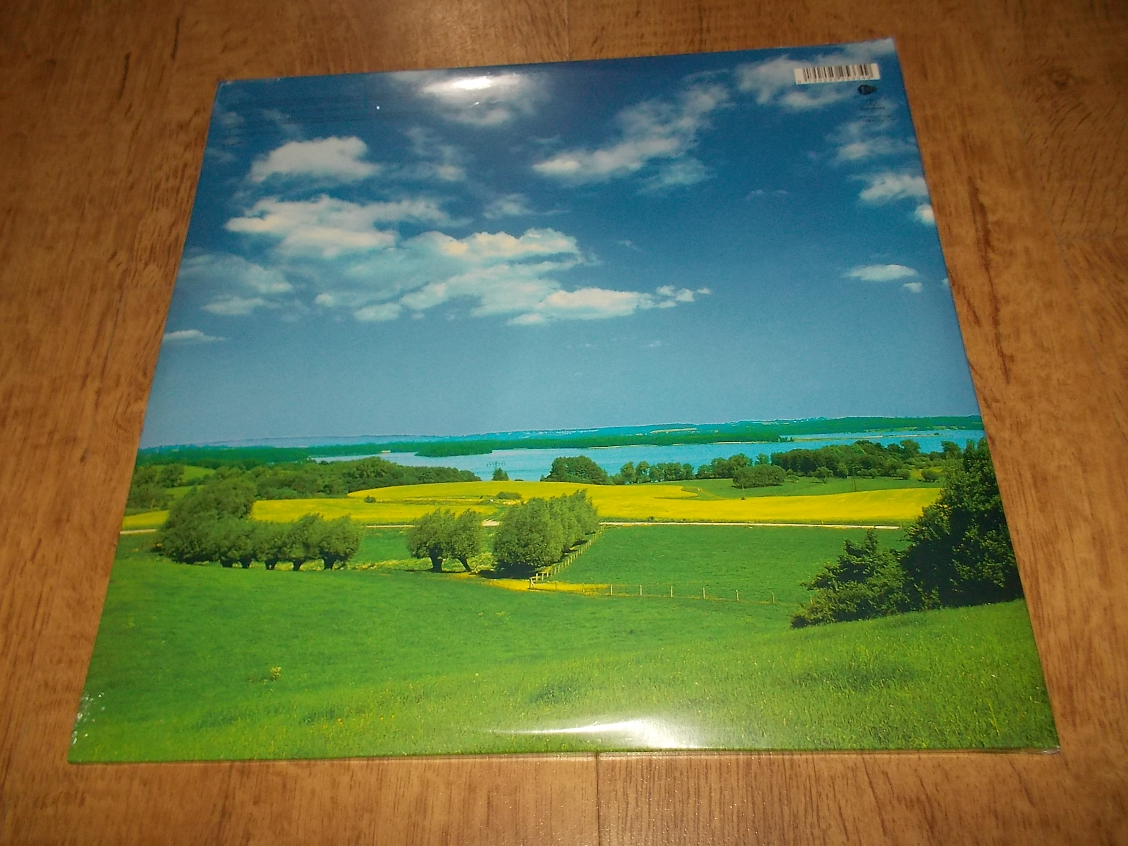 David Bowie - Earthling / Remastered (2Vinyl-LP)