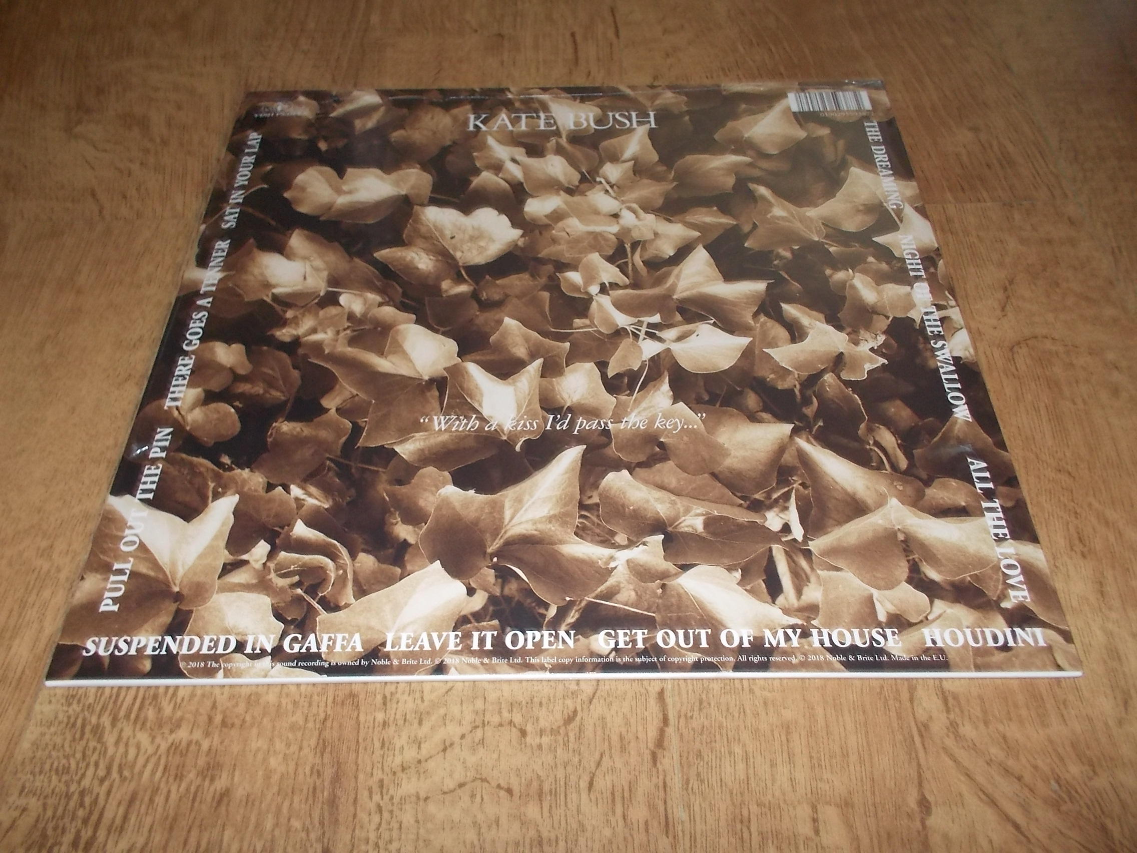 KATE BUSH - DREAMING (Vinyl-LP) REMASTERED