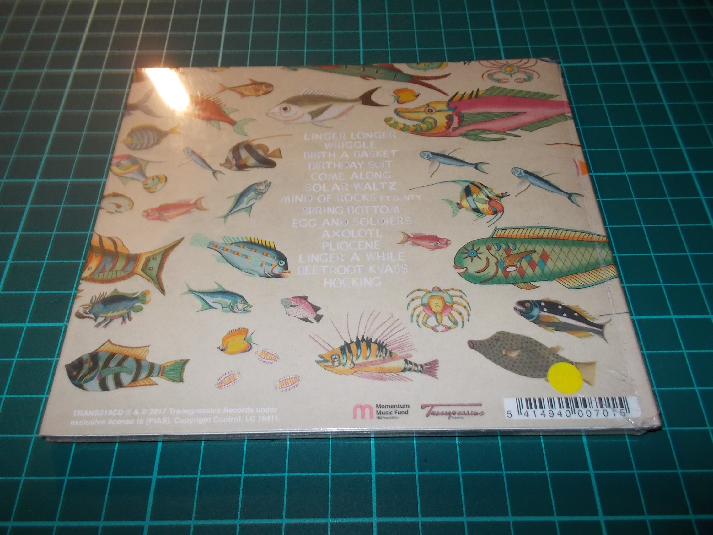 Cosmo Sheldrake - The Much Much How How and I (CD) Digipack