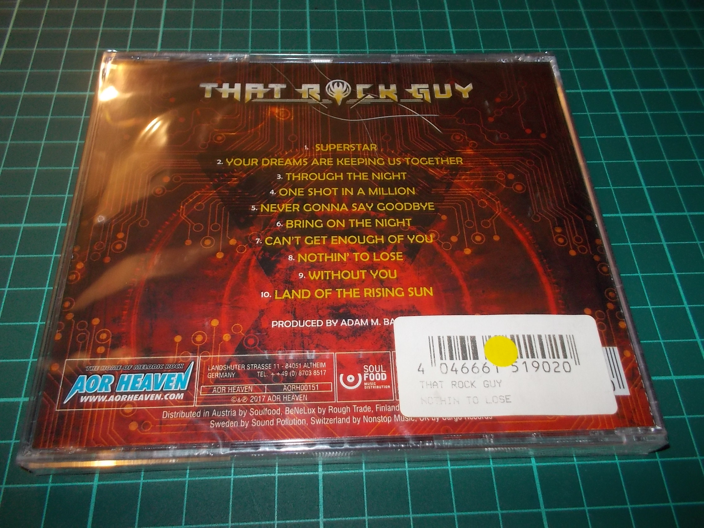 THAT ROCK GUY - NOTHIN' TO LOSE (CD)
