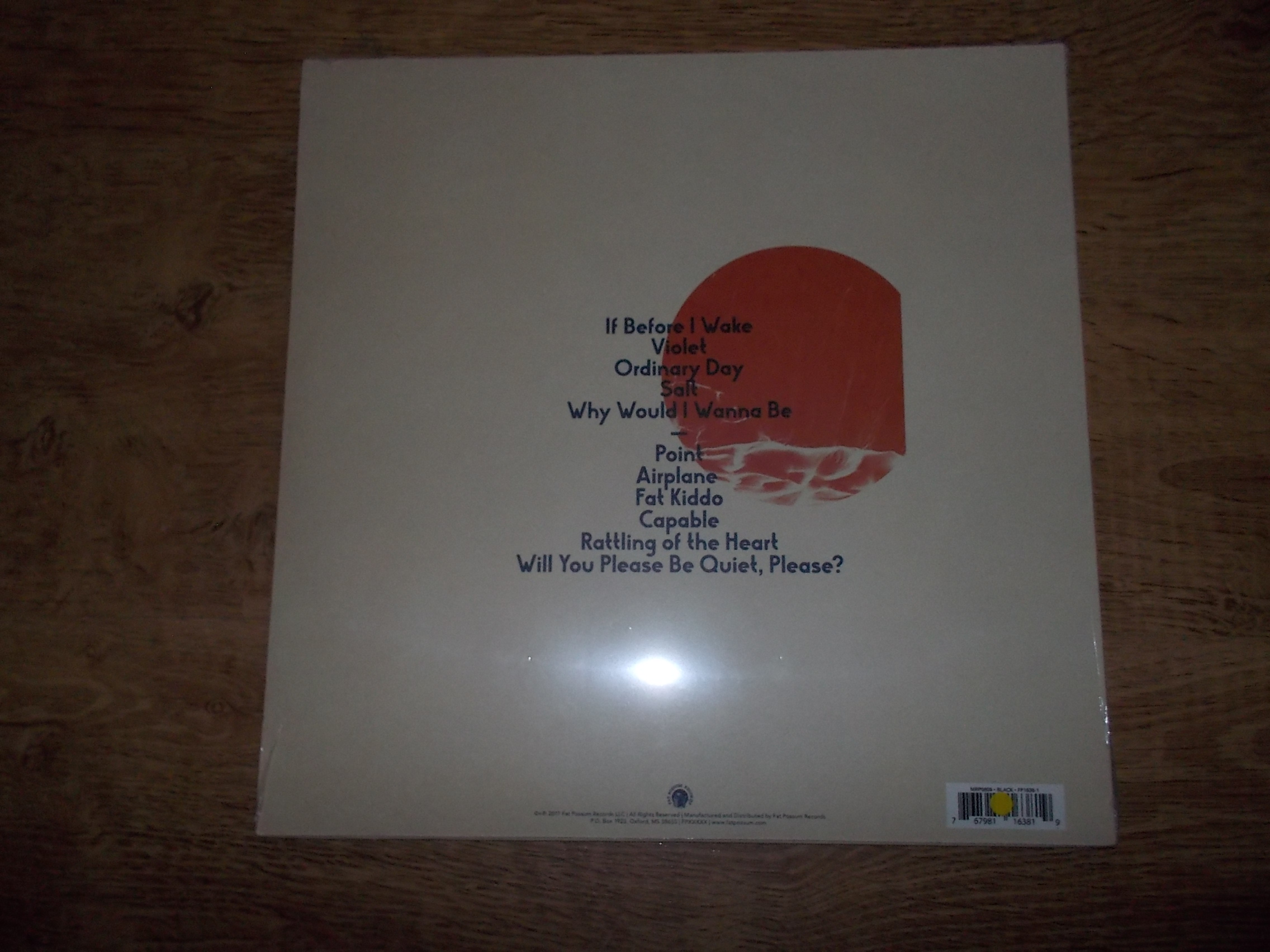 The Districts - Popular Manipulations (Vinyl-LP)