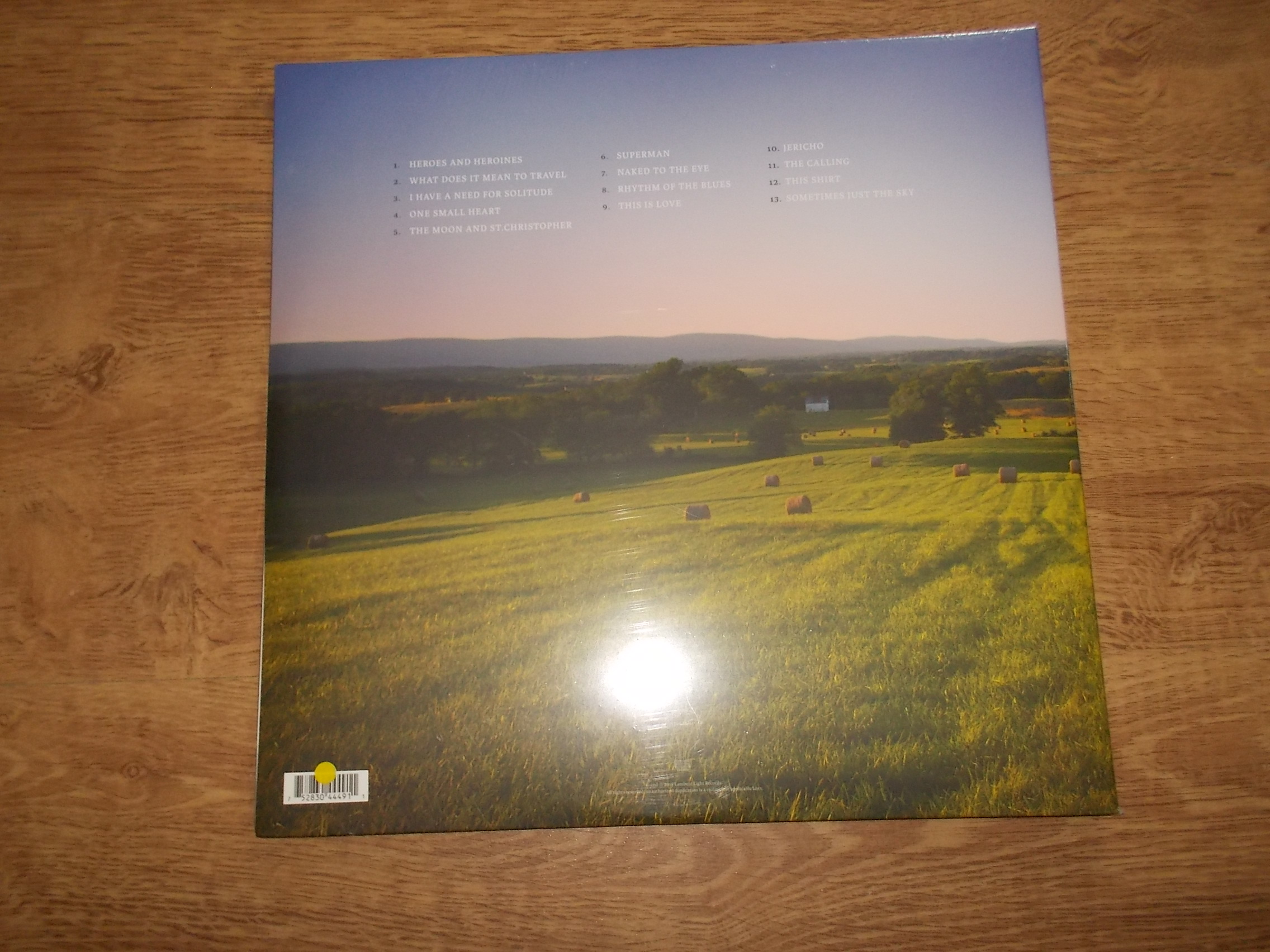 Mary Chapin Carpenter - Sometimes Just The Sky (2Vinyl-LP)