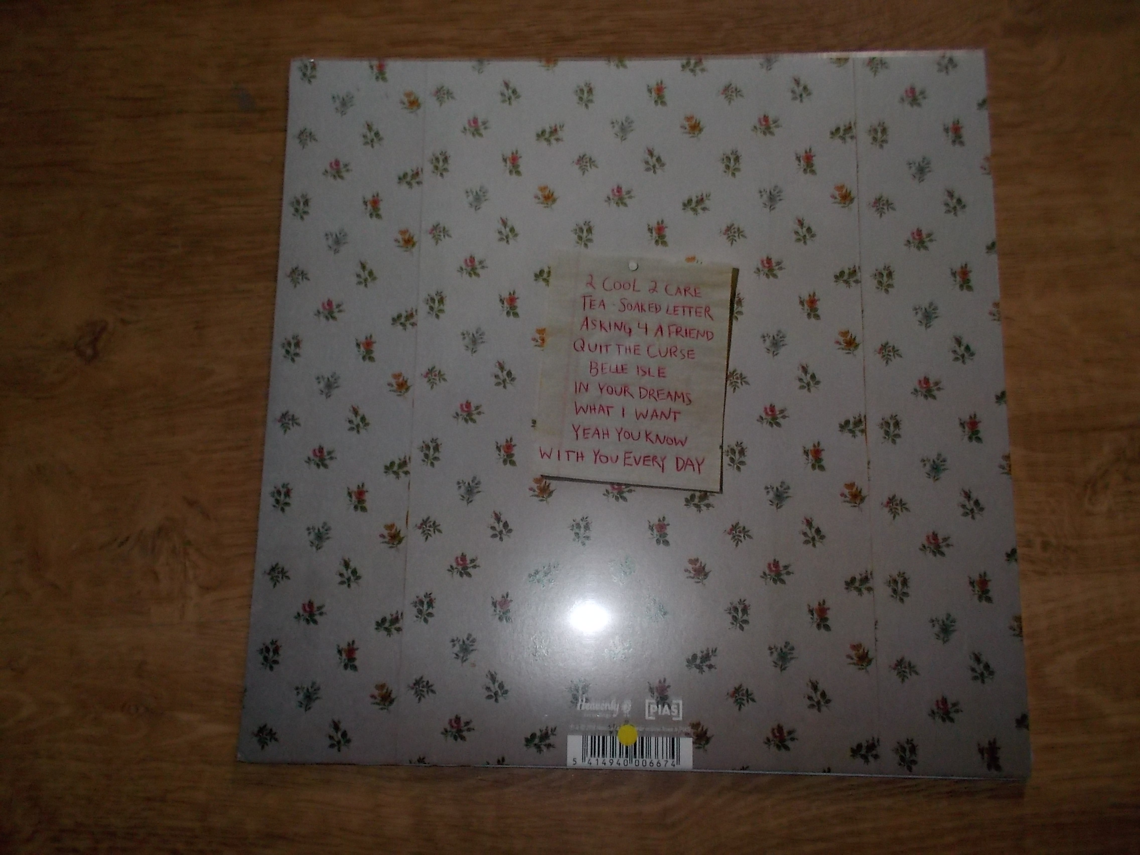 Anna Burch - Quit The Curse (Vinyl-LP)