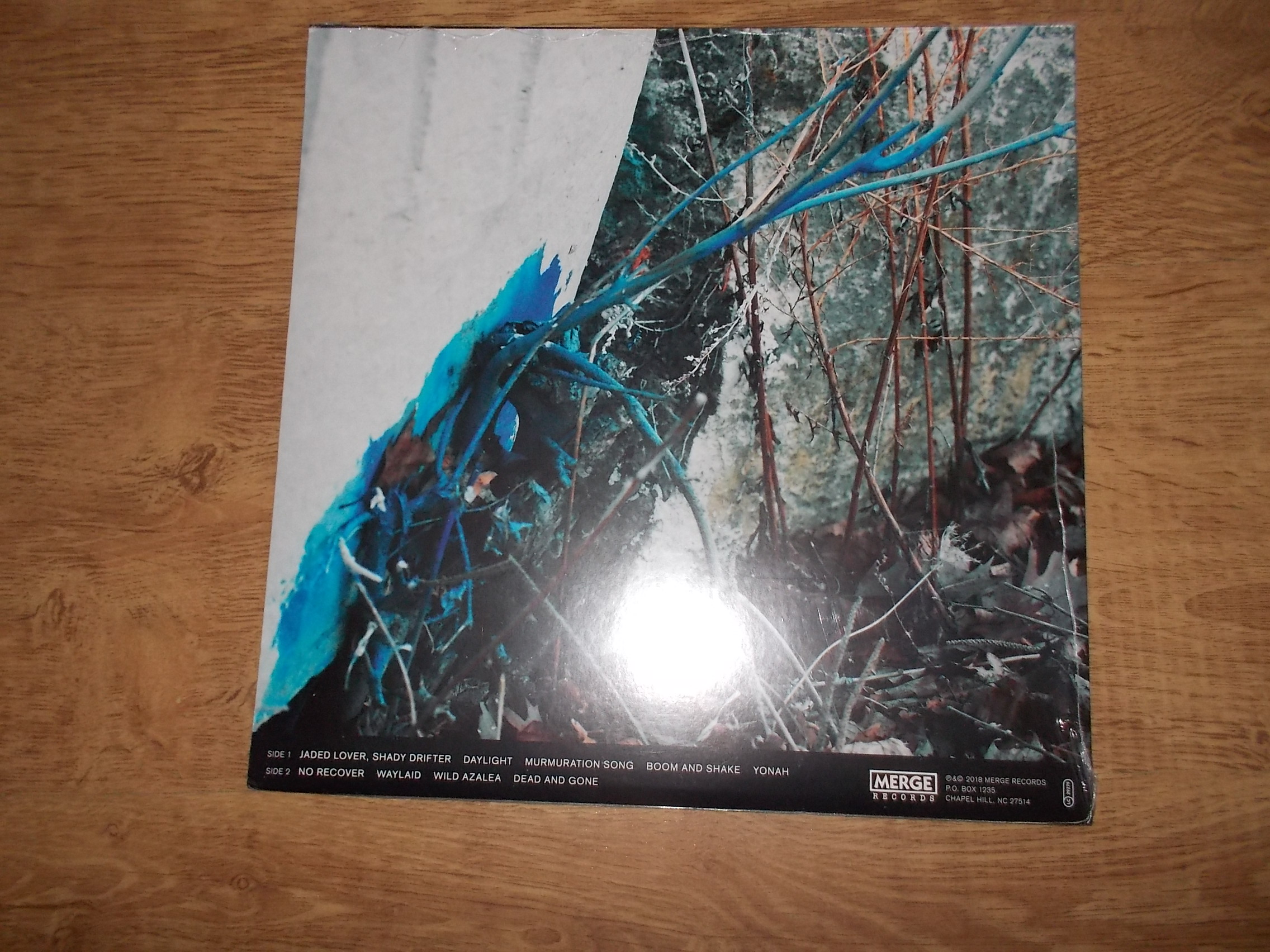 Eric Bachmann - No Recover (Vinyl-LP)