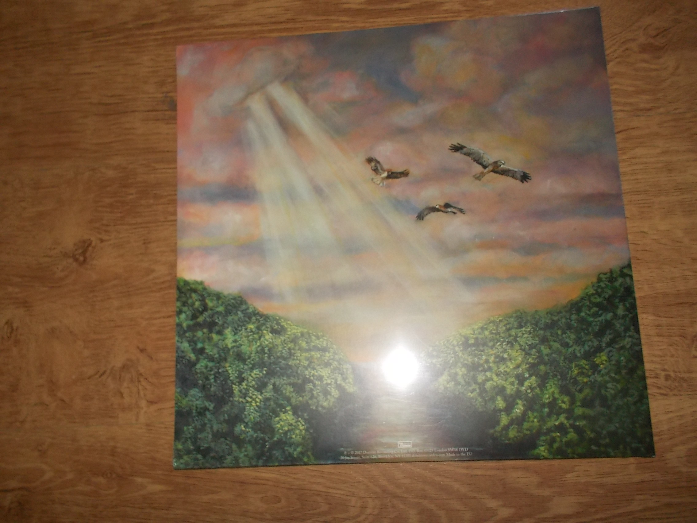 Alex G - Rocket (Vinyl-LP)