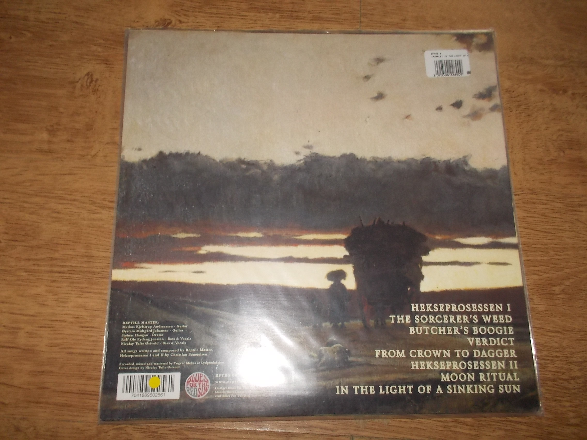 Reptile Master - In The Light Of A Sinking Sun (Vinyl-LP)