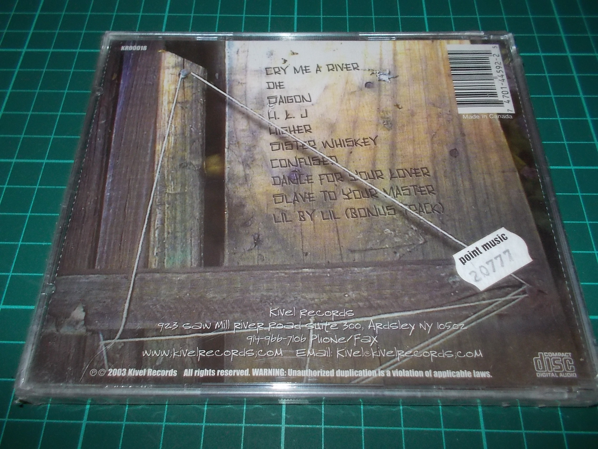 Pyn Siren - Slave To Your Master (CD)