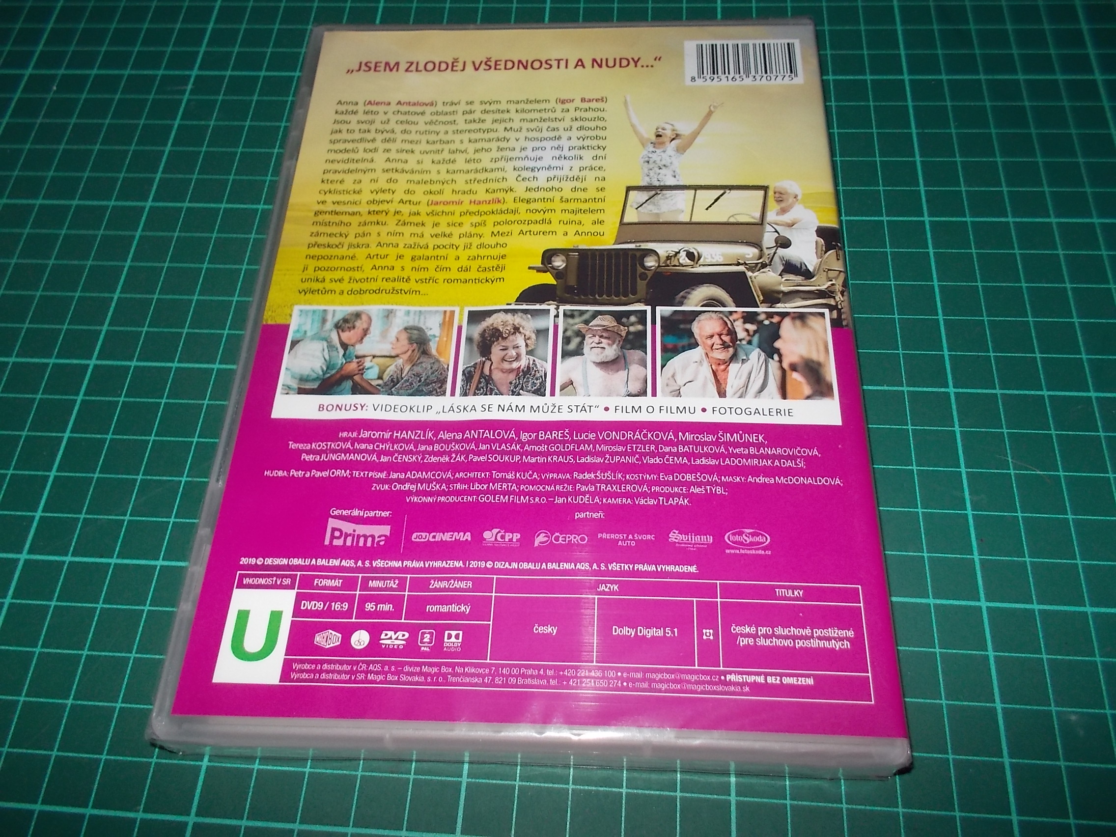 Léto s gentlemanem (DVD)