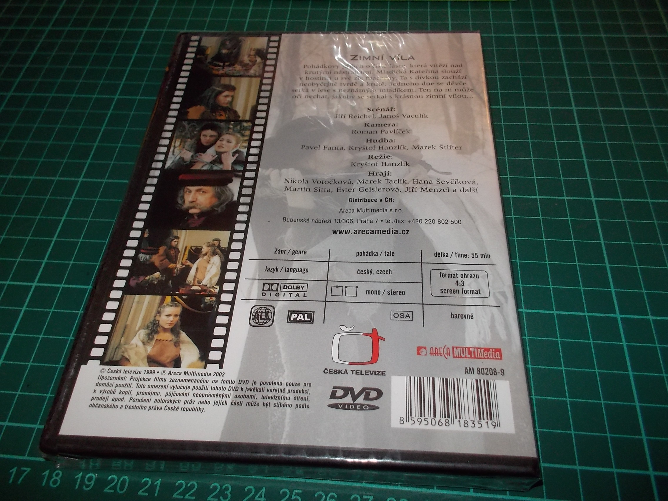 Zimní víla (DVD)
