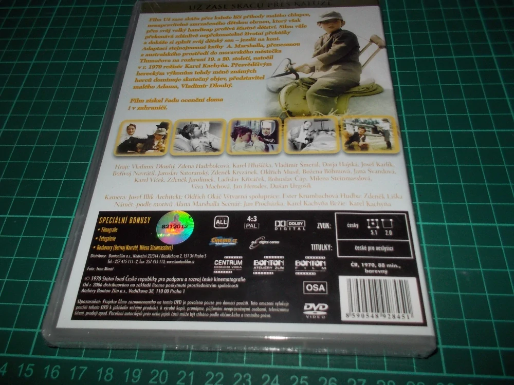Už zase skáču přes kaluže (DVD)