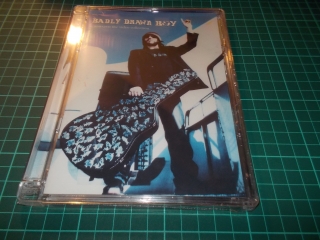 BADLY DRAWN BOY - BDB-DVD THE VIDEO COLLECTION (DVD)