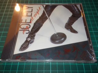 Joe Ely - Dig All Night (CD)