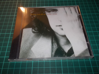 Mike Scott - Bring 'Em All In (CD)