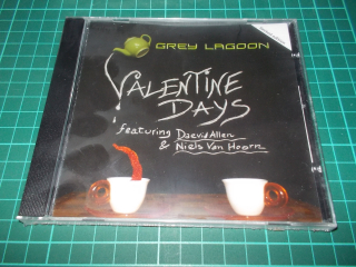 GREY LAGOON - VALENTINE DAYS (CD)