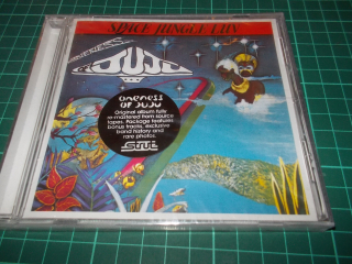 Oneness Of Juju - Space Jungle Luv (CD)