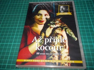 Až přijde kocour - Šest otázek pro Jana Wericha (DVD)