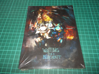 ARE YOU LOCAL? - WAITING FOR A BLACKOUT (DVD)