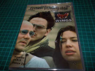 ABSOLUTNÍ STEPAŘSKÁ SHOW - PROJECT WINGS (DVD)