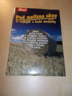POD NAŠIMA OKNY ANEB TO NEJLEPŠÍ Z ČESKÉ DDECHOVKY (CD v pošetce)