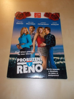 Probuzení v Renu (DVD v pošetce)